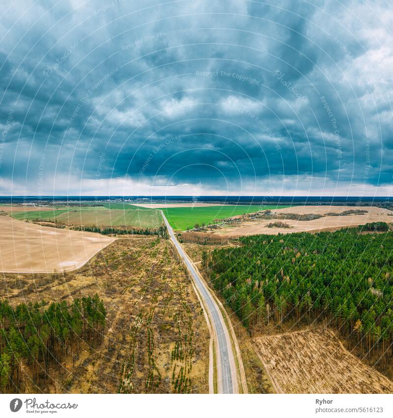 Luftaufnahme von Highway Road durch Abholzung Bereich Landschaft. Grüne Kiefer Wald in Abholzung Zone. Top View of Feld und Wald Landschaft. Drone Ansicht. Ansicht aus der Vogelperspektive.