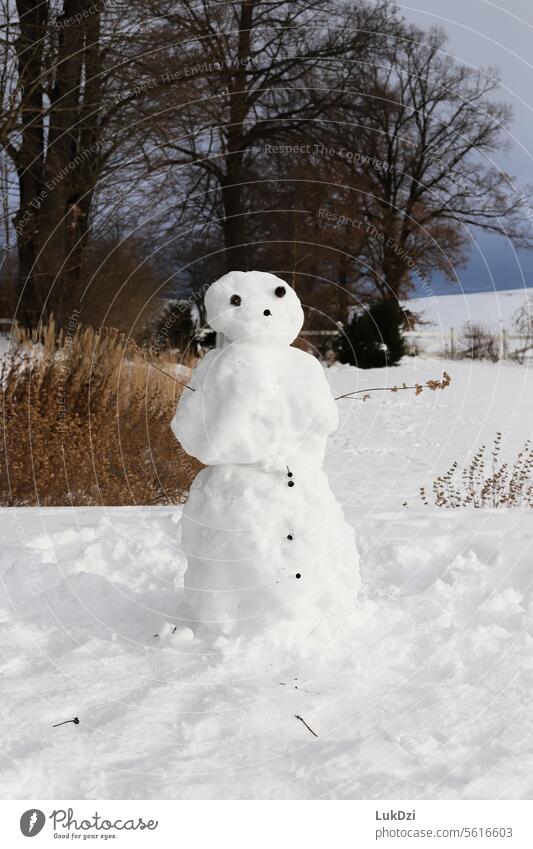 Foto eines Schneemanns an einem Wintertag Jahreszeiten Frost Natur kalt weiß Außenaufnahme klein Spielen Freude Kinderspiel Schneebälle Schneelandschaft
