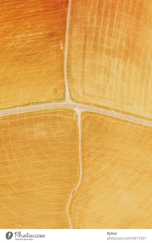 gelb Cluster von landwirtschaftlichen Feldern mit verschiedenen Kulturen gesät. Aerial View Landstraße durch Felder. Goldener Weizen Landwirtschaftliche Sommersaison. Landschaft Ländliche Felder Landschaft,