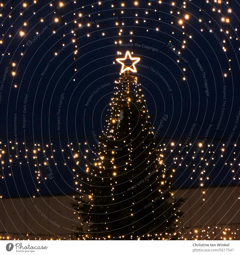 ⭐️ Frohe Weihnachten ⭐️ | Oh Tannenbaum Weihnachtsbaum Stern (Symbol) Weihnachtsbeleuchtung Weihnachtsdekoration Glanz Tradition leuchten Unschärfe Lichter