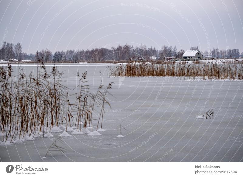 eisbedeckter See mit Schilf schön kalt Dezember Europa Abend Wald Frost gefroren Gras Eis Landschaft Lettland natürlich Natur niemand im Freien Park Fluss Szene
