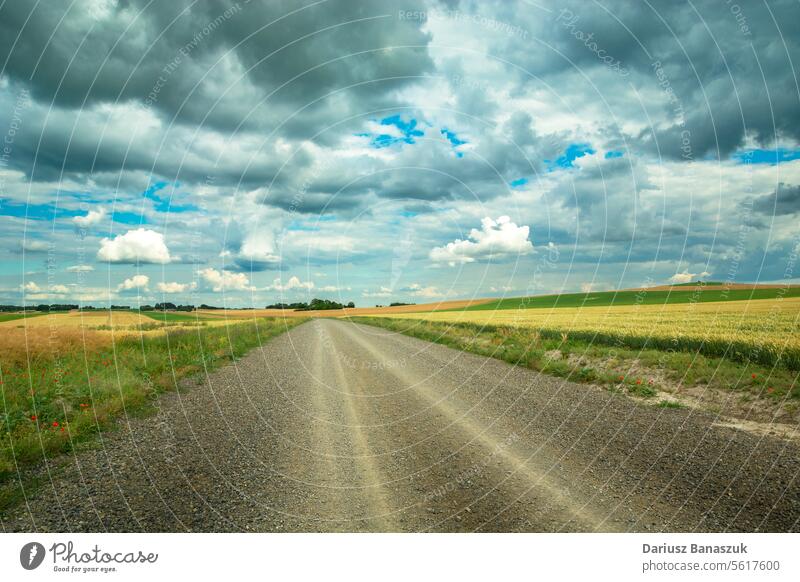 Graue Wolken über einer Schotterstraße in ländlichen Feldern Straße Kies Himmel wolkig Sommer Fotografie Tag im Freien horizontal keine Menschen