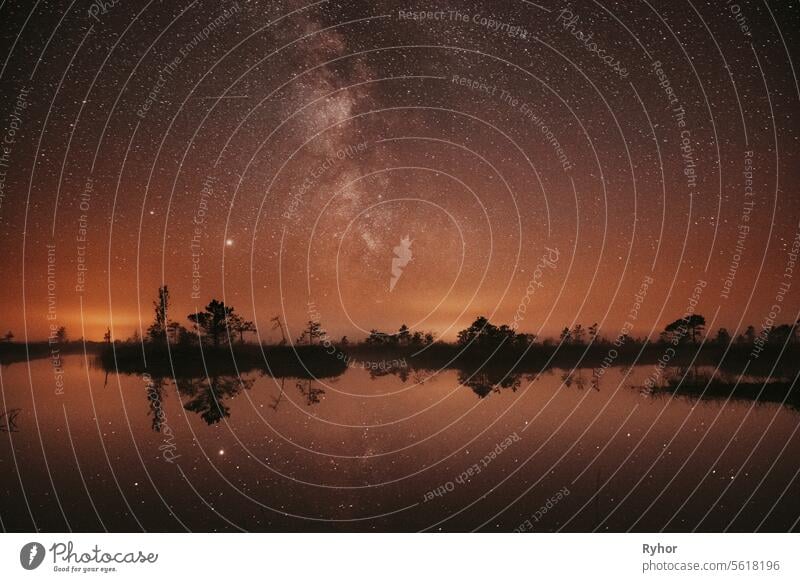 Sumpf Moor Sumpf Feuchtgebiet See Natur Nacht Landschaft. Nacht Sternenhimmel Milchstraße Galaxie mit leuchtenden Sternen und Mond. Natur Nachthimmel Reflexion im Wasser. Yelnya Sumpf in Weißrussland