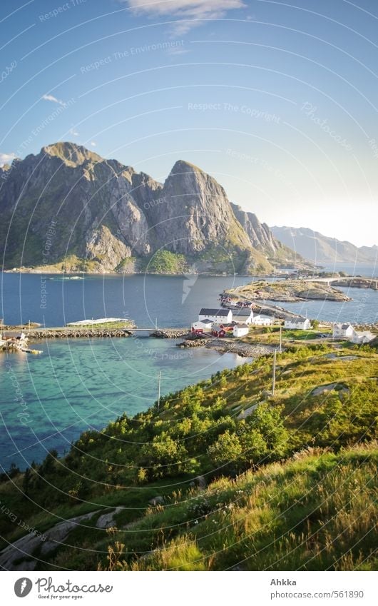 Fjord, Lofoten II exotisch Wellness Wohlgefühl Sinnesorgane Erholung ruhig Ferien & Urlaub & Reisen Tourismus Ausflug Abenteuer Ferne Freiheit Meer Natur
