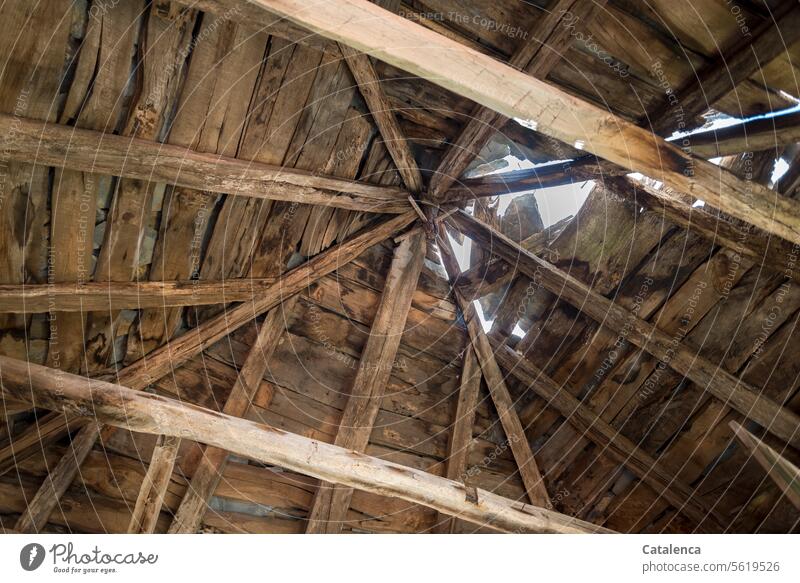 Alter, zerstörter Dachstuhl aus Kastanienbalken, Steinplatten bedecken ihn noch zum teil. Architektur Haus Gebäude Bauwerk Himmel Kastanienholz Holz kaputt alt
