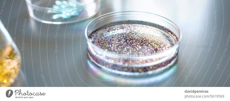 Petrischale mit bunter Glitzer-Mischprobe in Analyseflüssigkeit im Umweltforschungslabor Glitter Mikro Kunststoff petri Speise Probe gemischt mischen liquide