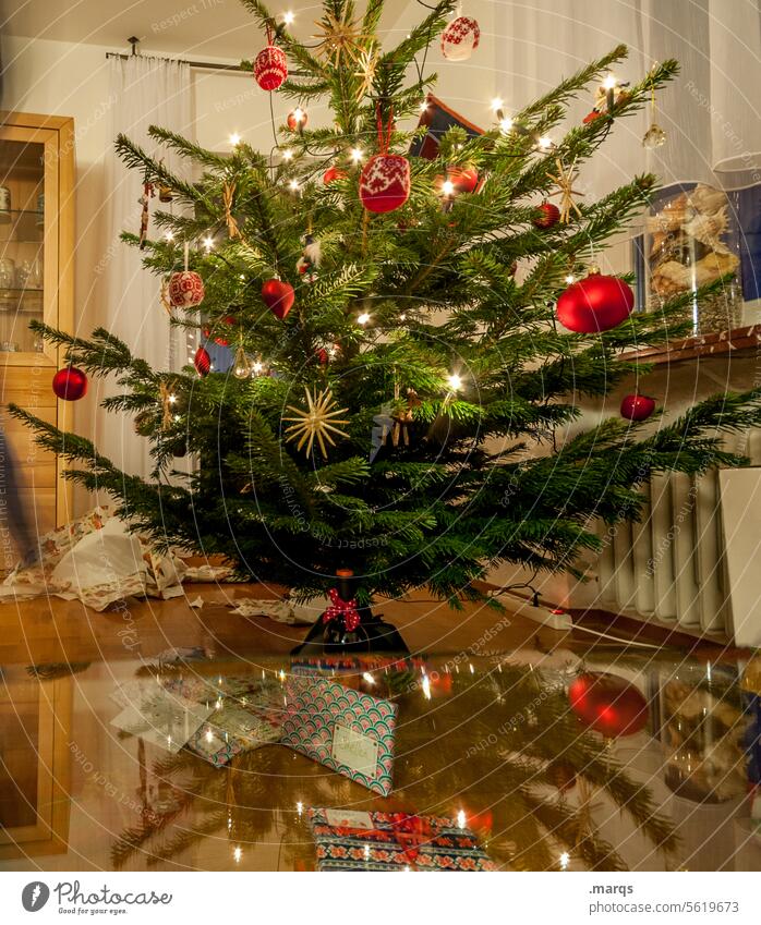 oh tannenbaum| ɯnɐquǝuuɐʇ ɥo Weihnachten & Advent Weihnachtsbaum Tannenbaum zuhause authentisch Tradition Weihnachtsstimmung Weihnachten feiern Heiligabend