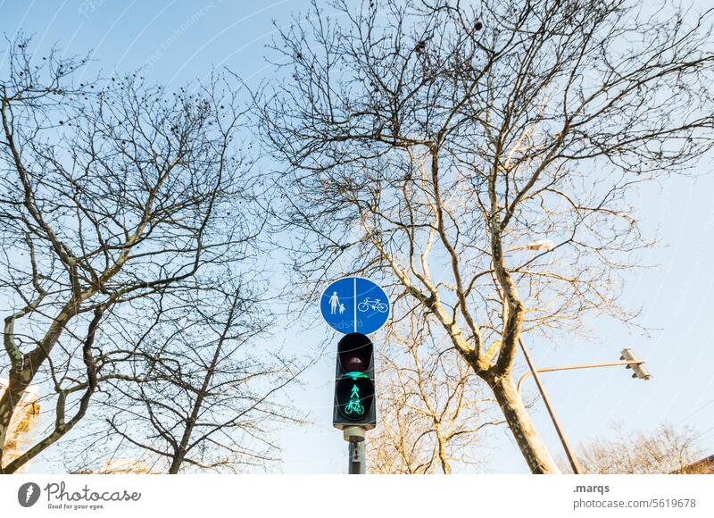 Fußgängerampel Ampel Verkehrszeichen Verkehrswege Stadt Verkehrsschild grünphase grüne Ampel grünes Licht gehen Start Signal Perspektive Baum kahl