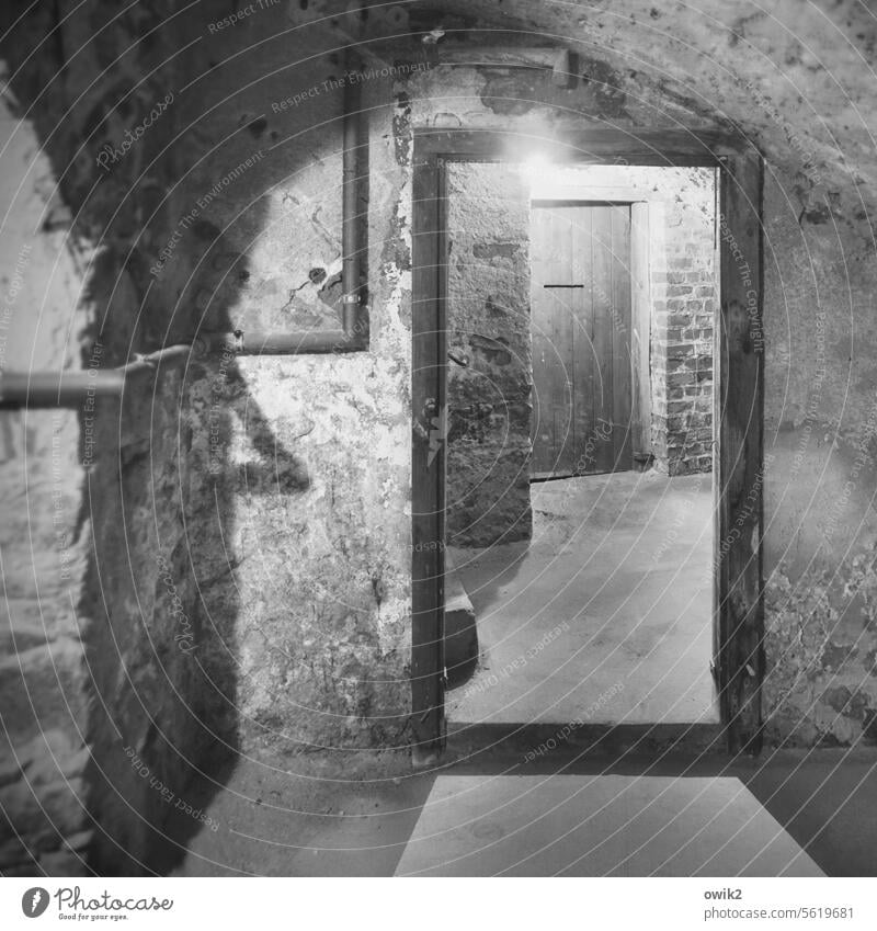 In die Gänge kommen Keller Gewölbe unten Untergrund Architektur Innenaufnahme dunkel Menschenleer Gebäude Wand alt Mauer historisch Kellergewölbe Licht Schatten