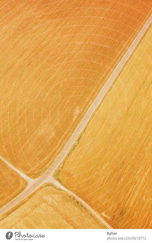 gelb Cluster von landwirtschaftlichen Feldern mit verschiedenen Kulturen gesät. Aerial View Landstraße durch Felder. Goldener Weizen Landwirtschaftliche Sommersaison. Landschaft Ländliche Felder Landschaft,