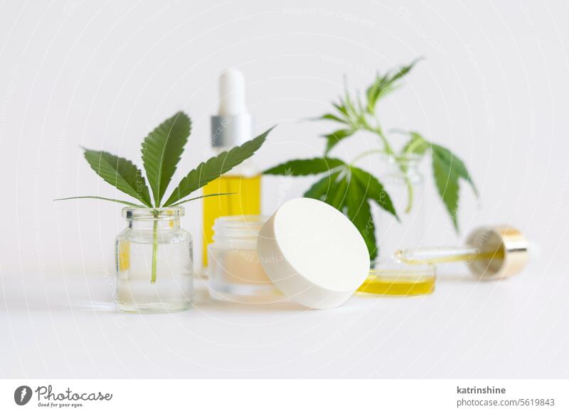 Cremetiegel und Pipette mit CBD-Öl in der Nähe von grünen Cannabisblättern Nahaufnahme auf weiß, Kosmetik Mockup Glas Erdöl Sahne Blätter cbd Hanf Natur