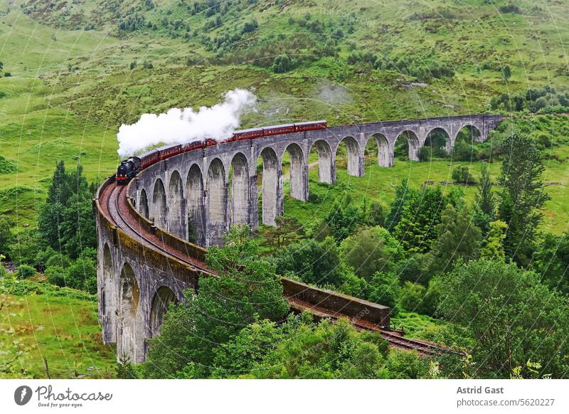 Die Dampflok auf dem berühmten Glenfinnan-Viadukt in Schottland zug dampflok eisenbahn glenfinnan-viadukt schottland highlands brücke lokomotive dampflokomotive