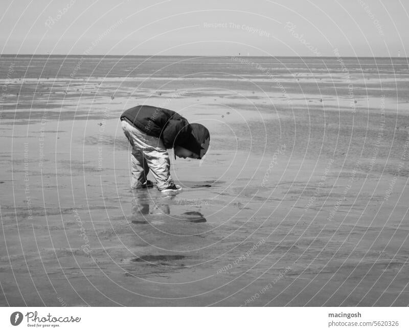 Kleiner Junge (3-4 Jahre) beobachtet Wattwürmer Nordsee Nordseeküste Strand Urlaub Natur Sommer Landschaft Erholung Wattenmeer Ebbe Reise Sommerurlaub