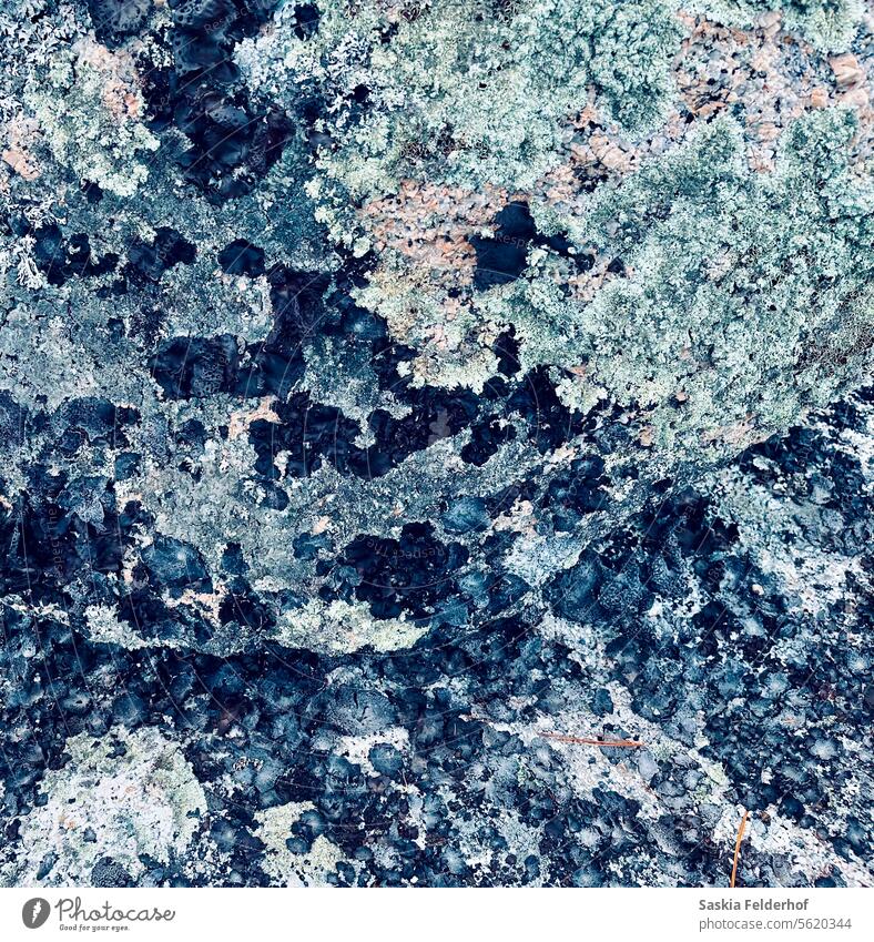 Mit Flechten bewachsene Granitfelsen Stein Felsen Felsbrocken Natur Textur abstrakt Muster Detailaufnahme natürlich Pastell Pastellton rau Oberfläche grau