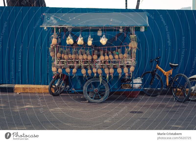 Lebensmittelwagen mit frischen Ananas am Straßenrand, der das authentische tägliche Leben, den Lebensunterhalt und die Kultur in Kampot, Kambodscha, zeigt