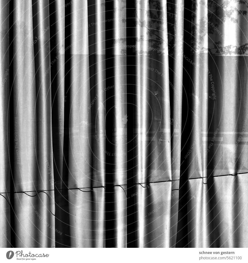 gut verpackt Vorhang Gardine Fenster Stoff hängen Faltenwurf Häusliches Leben Licht Strukturen & Formen Dekoration & Verzierung Schatten Textilien durchsichtig