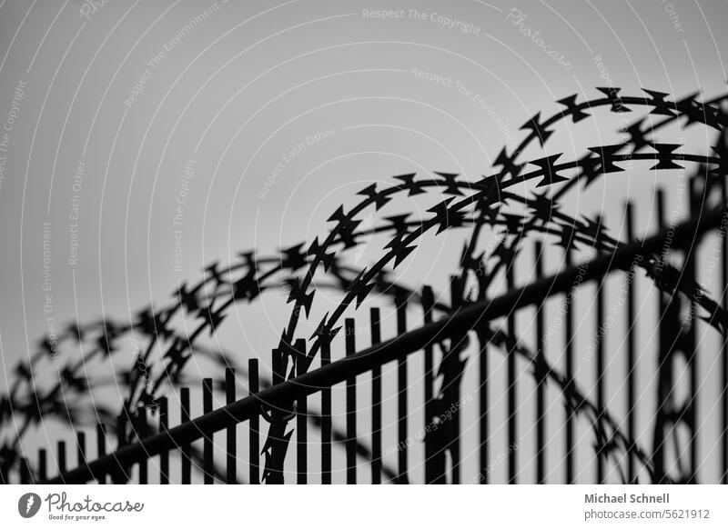 Zaun und fester Stacheldraht Stacheldrahtzaun Grenze Barriere bedrohlich gefangen Sicherheit Schutz gefährlich Metall Draht Unfreiheit Verbote Gefangenschaft