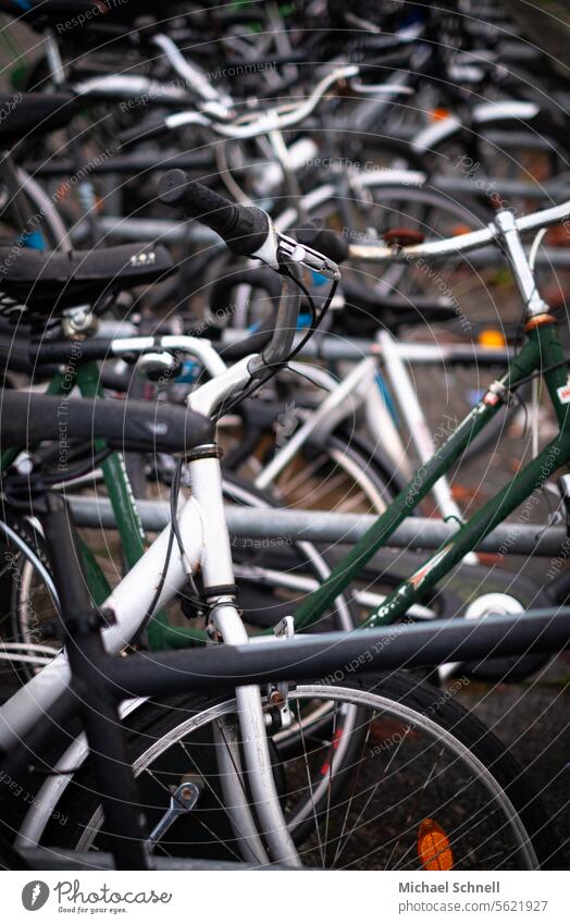 Fahrräder Fahrrad Fahrradfahren Verkehrsmittel Rad Freizeit & Hobby nachhaltig Mobilität umweltfreundlich unterwegs Straße Fortbewegungsmitel Radfahren