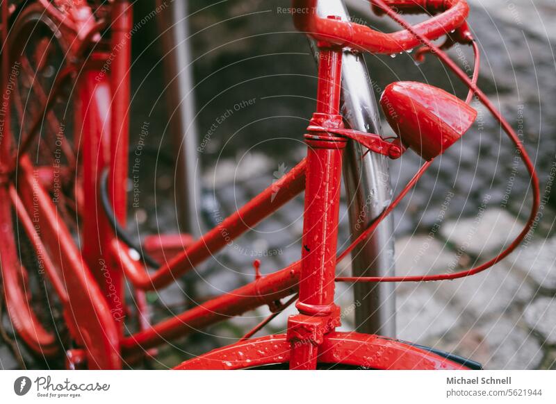 Rotes Fahrrad Fahrradfahren Verkehrsmittel Rad Freizeit & Hobby nachhaltig Mobilität umweltfreundlich unterwegs Straße Fortbewegungsmitel Radfahren Umweltschutz