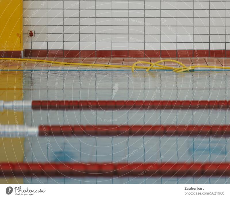 Bahnen im Hallenbad durch Schwimmleinen getrennt, gelber Schlauch, Fliesen, horizontales Stillleben Schwimmkörper vertikal rot blau Wasser geometrisch Sport