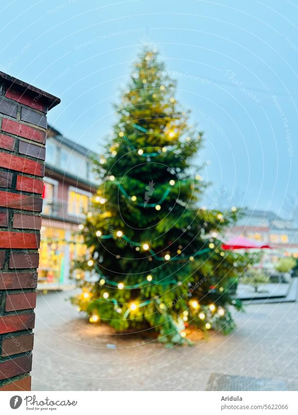 Weihnachtsbaum in der Fußgängerzone Baum Beleuchtung Weihnachten & Advent Licht Weihnachtsbeleuchtung Lichterkette Weihnachtsdekoration Feste & Feiern