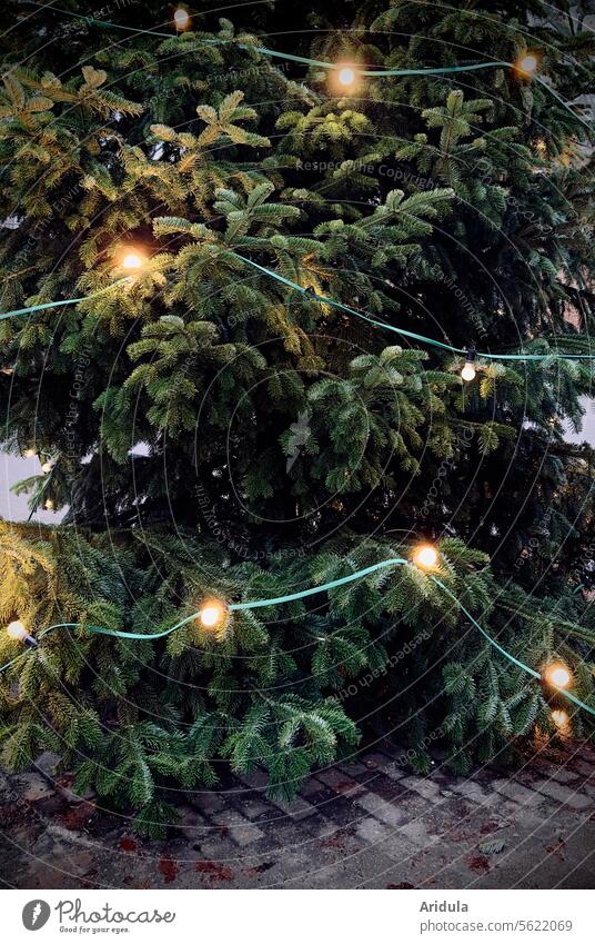 Oh Tannenbaum | Lichterkette am Weihnachtsbaum Baum Beleuchtung Weihnachten & Advent Weihnachtsbeleuchtung Weihnachtsdekoration Feste & Feiern
