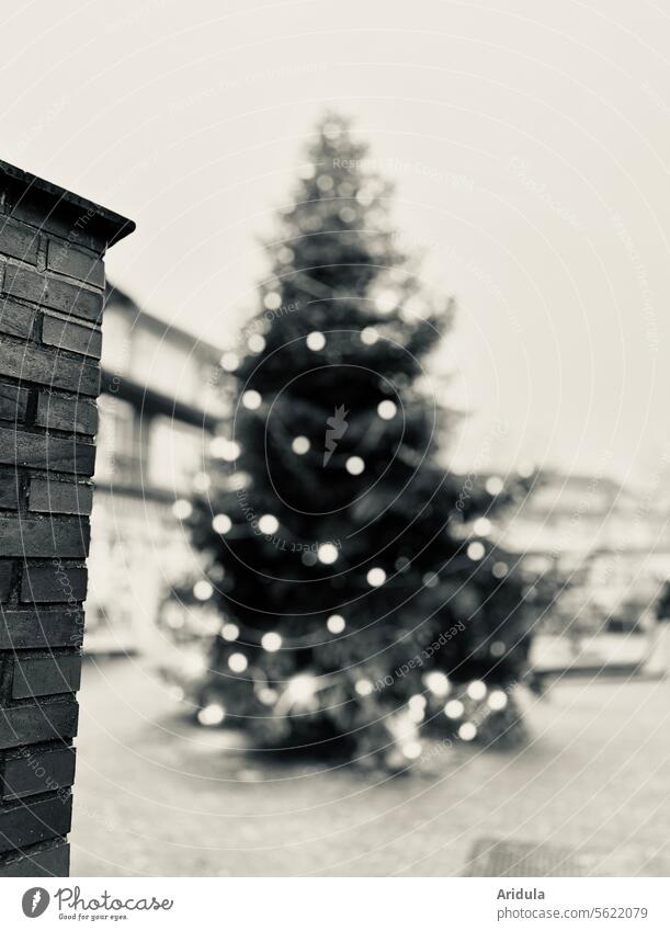 Oh Tannenbaum | Beleuchteter Weihnachtsbaum in der Fußgängerzone s/w Beleuchtung Baum Weihnachten & Advent Licht Weihnachtsbeleuchtung Lichterkette