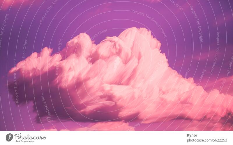 4k Timelapse Ungewöhnliche abstrakte getönten Himmel Hintergrund. Erstaunliche bunte rosa Wolken Trails. Dramatische Magenta Himmel mit flauschigen Wolken Silhouetten. Rosa, lila weichen Farben. Zeitraffer, Zeitraffer