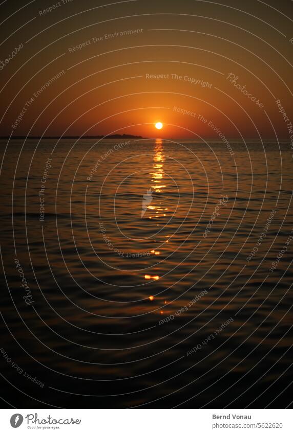 Sonnenuntergang in am Strand von Kroatien Urlaub Sommer Sommerurlaub Ferien & Urlaub & Reisen Küste Erholung Meer Wasser Himmel Natur Wellen Horizont Freiheit