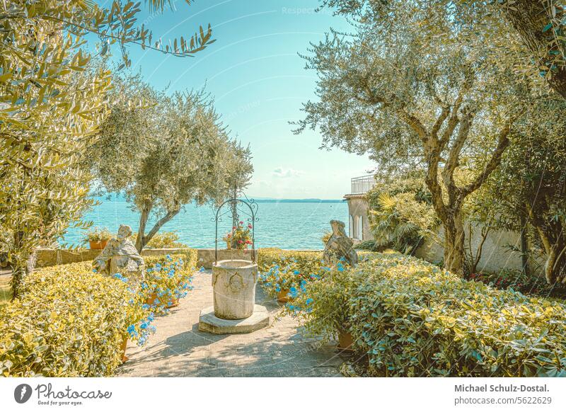 Mediterraner Garten mit Seeblick Lago garda see italien lombardei wasser hafen seascape port pittoresk seeblick pastel garten gardassee