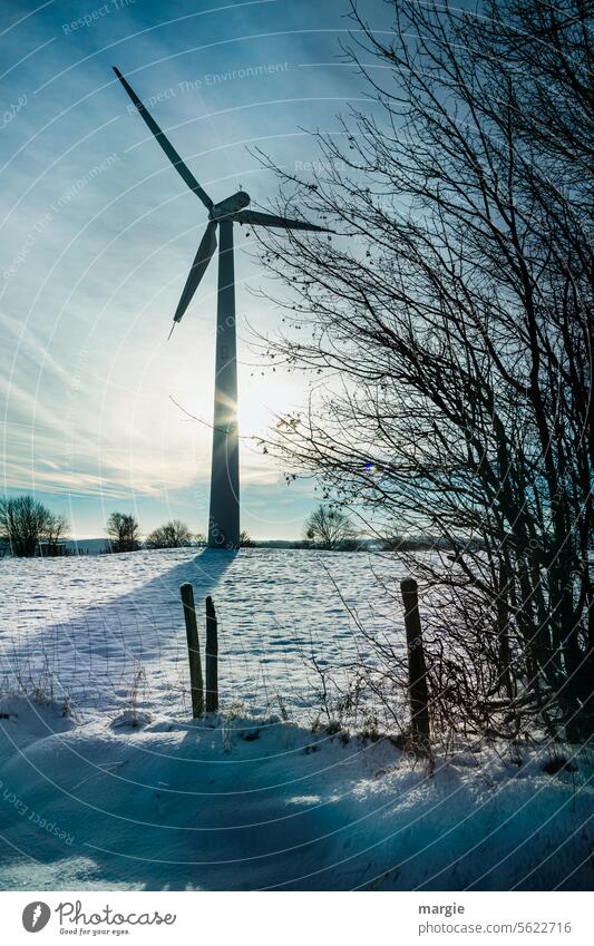 Windrad im Winter Windkraftanlage Erneuerbare Energie Windenergie Schnee Sonne Energiewirtschaft Sonnenlicht Sonnenstrahlen Wolken Himmel Zaun Zaunpfahl Büsche
