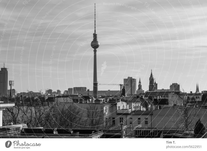 Blick über die Dächer von Berlin Fernsehturm s/w Skyline Stadt Tag Hauptstadt Stadtzentrum Außenaufnahme Architektur Menschenleer Bauwerk Gebäude