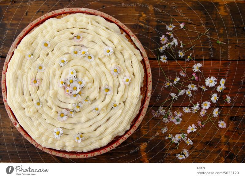 Geschmacksexplosionen Kuchen schlagsahne Backwaren Foodfotografie backen Lebensmittel Puderzucker süß lecker Rüblikuchen Blütenblatt Blume