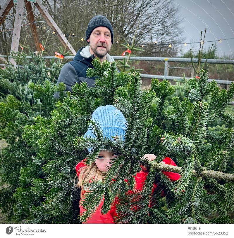 Weihnachtsbaum kaufen Kind Mann Vater Tanne Tannenbaum Zweige verstecken Weihnachten & Advent Tradition Vorweihnachtszeit Vorfreude