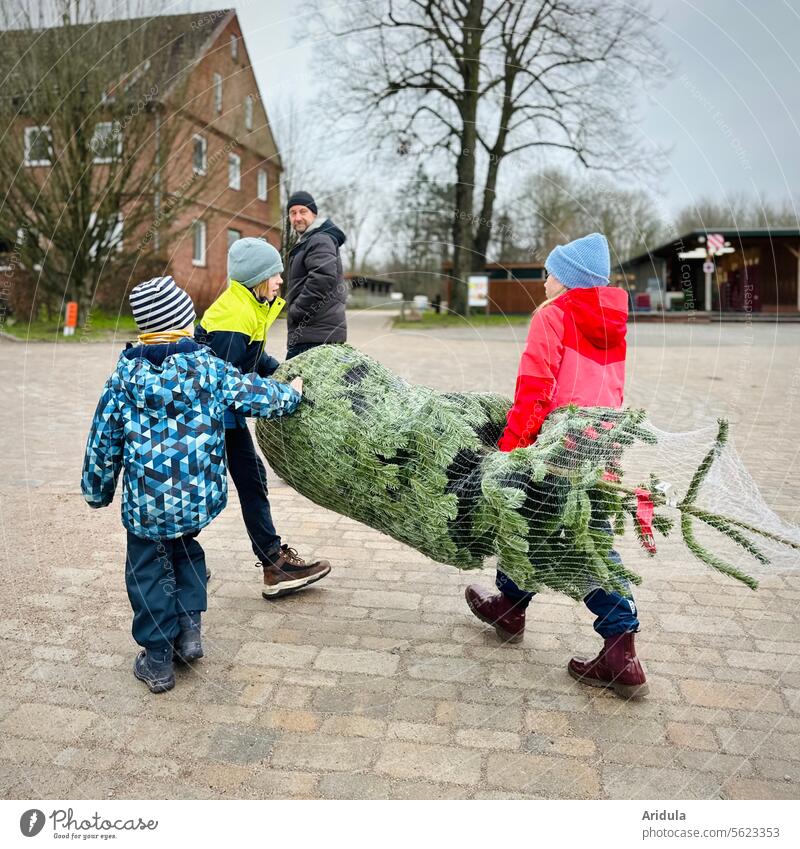 Weihnachtsbaum kaufen Kind Mann Vater Tanne Tannenbaum Zweige verstecken Weihnachten & Advent Tradition Vorweihnachtszeit Vorfreude Kinder tragen Haus
