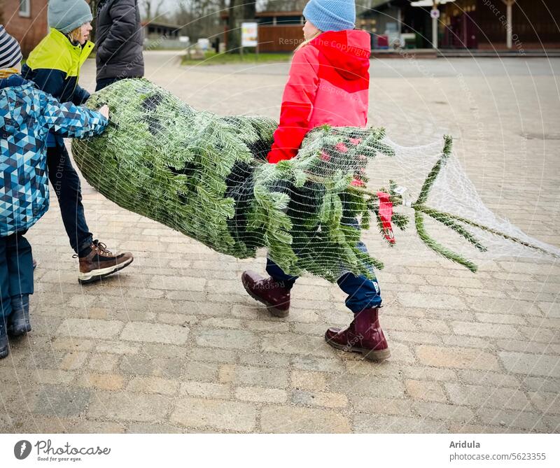Oh Tannenbaum | Weihnachtsbaum kaufen Kind Mann Vater Zweige verstecken Weihnachten & Advent Tradition Vorweihnachtszeit Vorfreude Kinder tragen