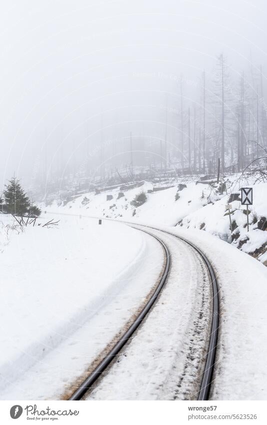 Bahnlinie durch den winterlichen Harzer Wald Winter Winterwald Schnee Winterstimmung Wintertag Bahnanlage festgefahrene Gleise Schmalspurbahn Harzer Querbahn