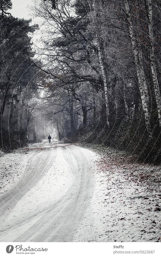 der lange Weg nach Hause durch den winterlichen Wald Winterweg Fahrradfahrer Fahrrad fahren fahradfahren unterwegs Schnee Reifenspuren Schneespuren Spuren