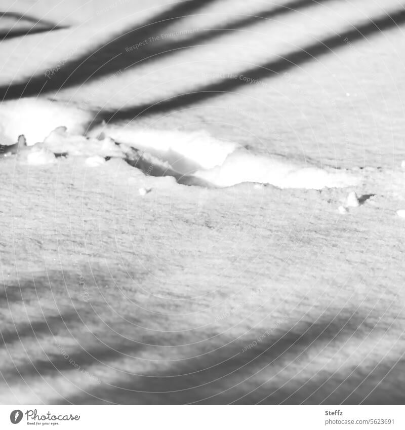Schneespuren Fußspuren Schneedecke Spuren schneebedeckt kalte Füße Spuren im Schnee Fußstapfen Spurenlesen Licht Schatten Licht und Schatten Winterstimmung