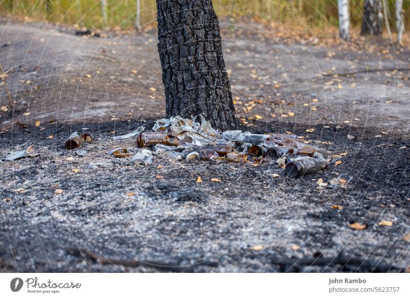verbrannter Müllhaufen unter Baum - Nahaufnahme mit selektivem Fokus Feuer Herbst Selektiver Fokus Tag Haufen Flamme Brandwunde Gefahr Verschmutzung Recycling