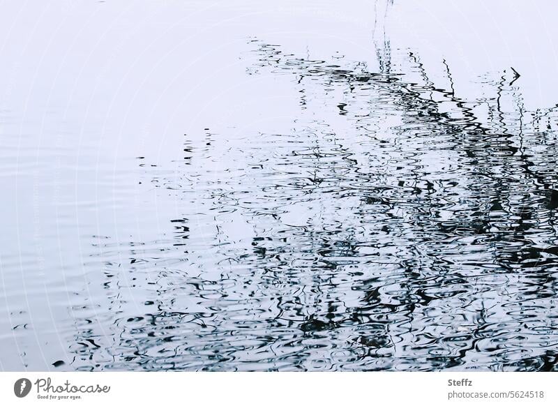 Wasserspiegelung Textur abstrakt See Seeufer Spiegelung Teich ruhig blau Wasseroberfläche Reflexion & Spiegelung November Abstraktion vergänglich friedlich