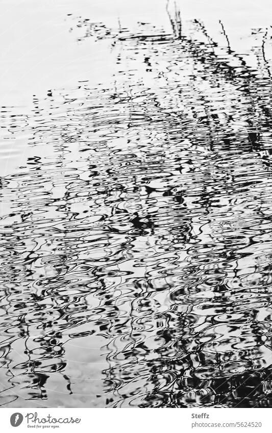 Spiegelung im Wasser Wasserspiegelung gekrümmte Linien Textur abstrakt verwirrend verwischt See Seeufer Teich Wasseroberfläche Abstraktion verwaschen