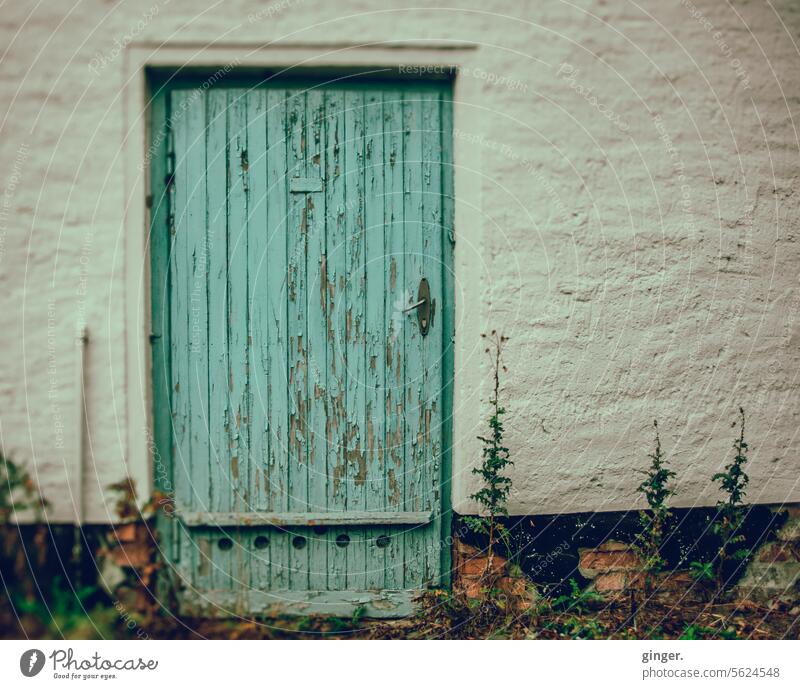 Verwitterte Holztür Tür verwittert alt Farbfoto Menschenleer Außenaufnahme geschlossen Eingang Eingangstür Detailaufnahme Strukturen & Formen verschlossen Tor