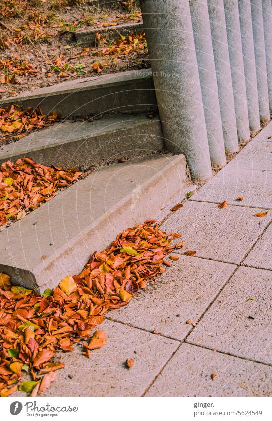 Betonstufen mit Herbstlaub grau Stufen Mauer rostbraun grün gesprenkelt rund eckig Kontrast Bodenplatten Menschenleer Farbfoto Außenaufnahme Tag Wand Fassade