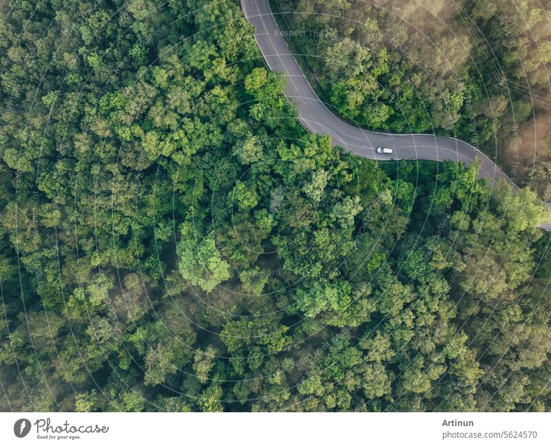Luftaufnahme von oben von Auto fahren auf der Autobahn Straße in den Wald. Grüne Bäume und Morgennebel. Grüne Bäume Hintergrund für Kohlenstoffneutralität und Netto-Null-Emissionen Konzept. Nachhaltige grüne Umwelt.