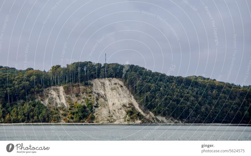 Rügener Kreidefelsen Insel Abruchkante Wald bewachsen Felsen hoch Kontrast Ostsee Meer Wasser Himmel Küste Natur Landschaft Tag blau Außenaufnahme Farbfoto