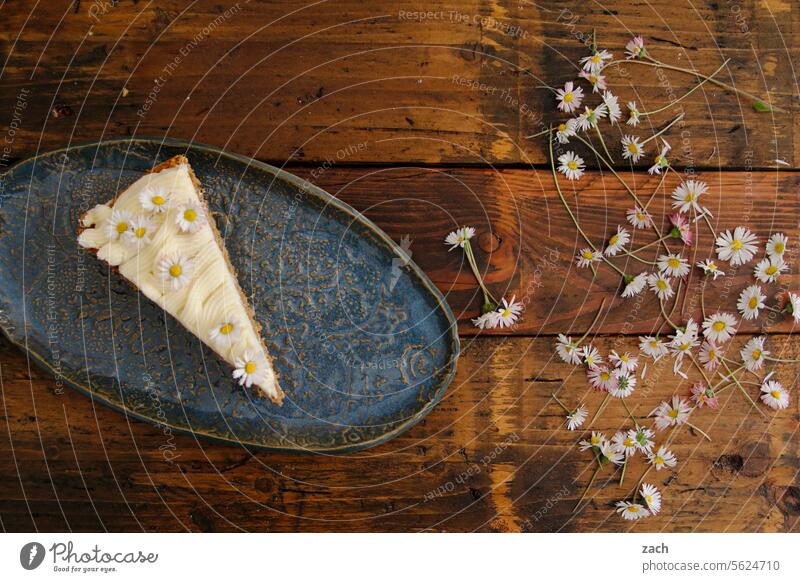 Geschmacksexplosionen Kuchen schlagsahne Backwaren Foodfotografie backen Lebensmittel Puderzucker süß lecker Rüblikuchen Blütenblatt Blume Teller Torte