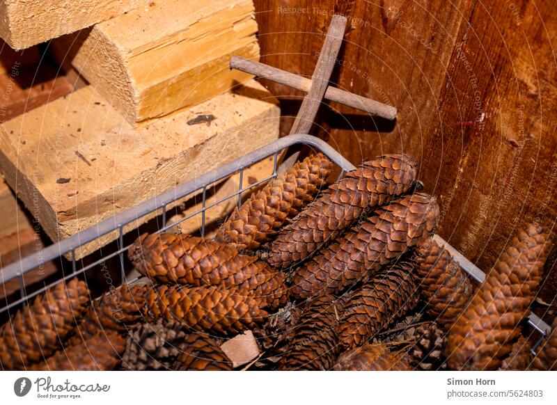 Holzvorrat und Tannenzapfen Zapfen Struktur Wärme Wärmegewinnung anschüren Feuerholz Holzofen Vorrat Brennholz Energie Holzstapel Forstwirtschaft Wald Nutzholz