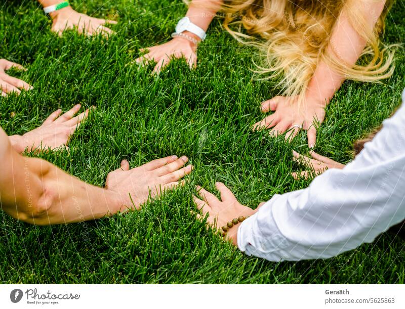 Hände von Menschen nebeneinander auf grünem Gras Erwachsener Hintergrund Schönheit hell Kaukasier schließen Tag Frau Feld Finger Spaß Mädchen grünes Gras