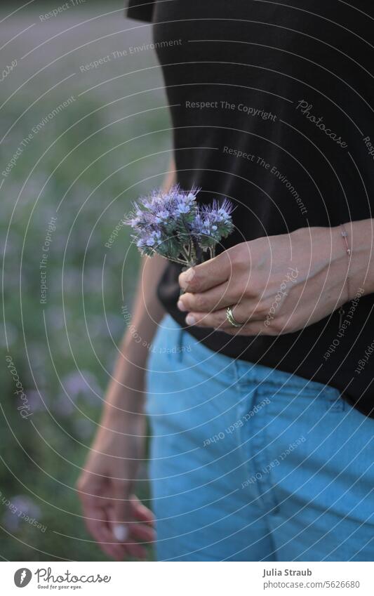 Frau hält Blumen ( Phazelien ) in der Hand Blumenwiese phazelien blaue hose schwarzes T-Shirt Hände halten pflücken Pflanzen Ehering Armband Sommer